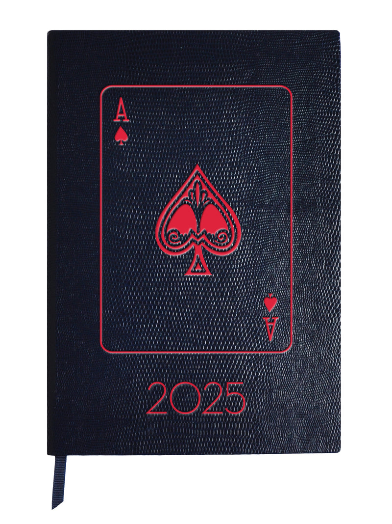 2025 - Ace it!