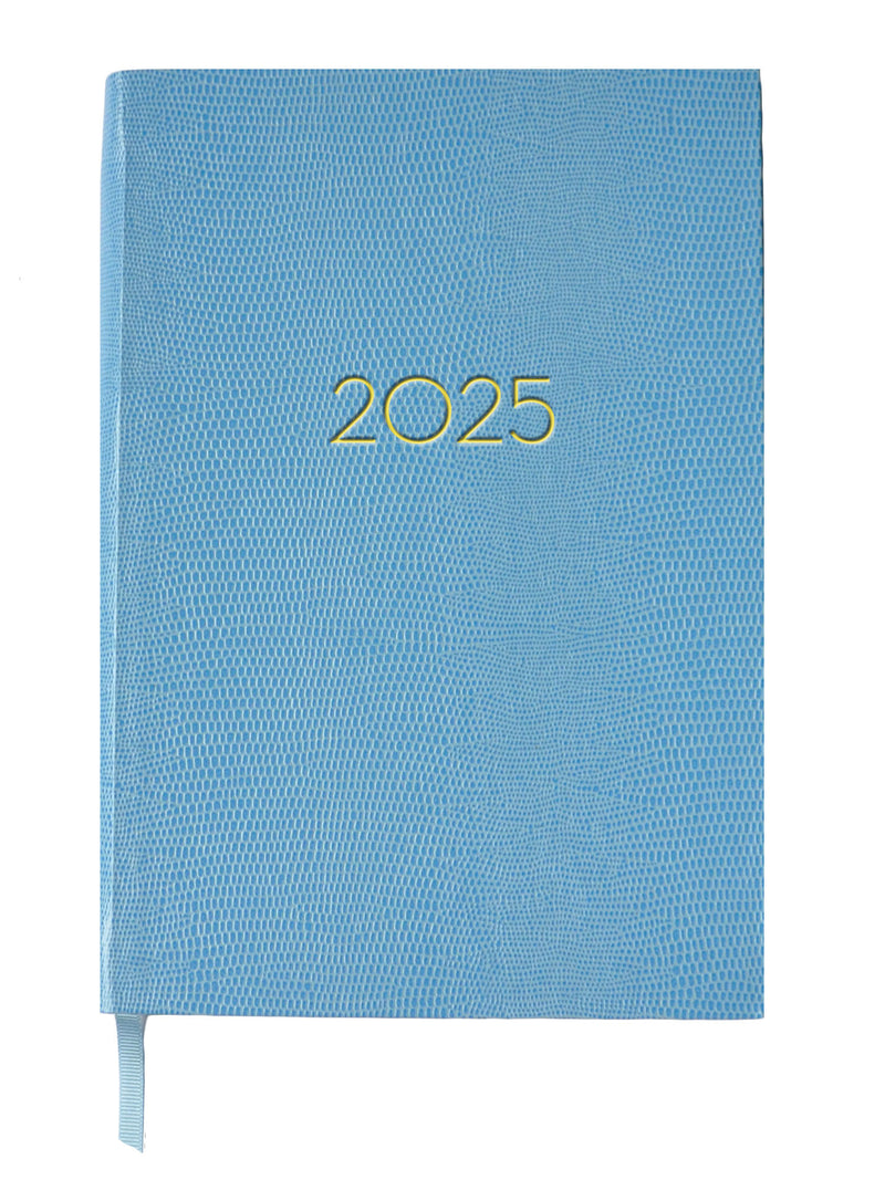 2025 DIARY - POWDER BLUE