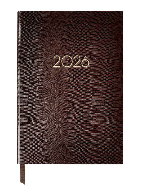 2026 DIARY - BROWN