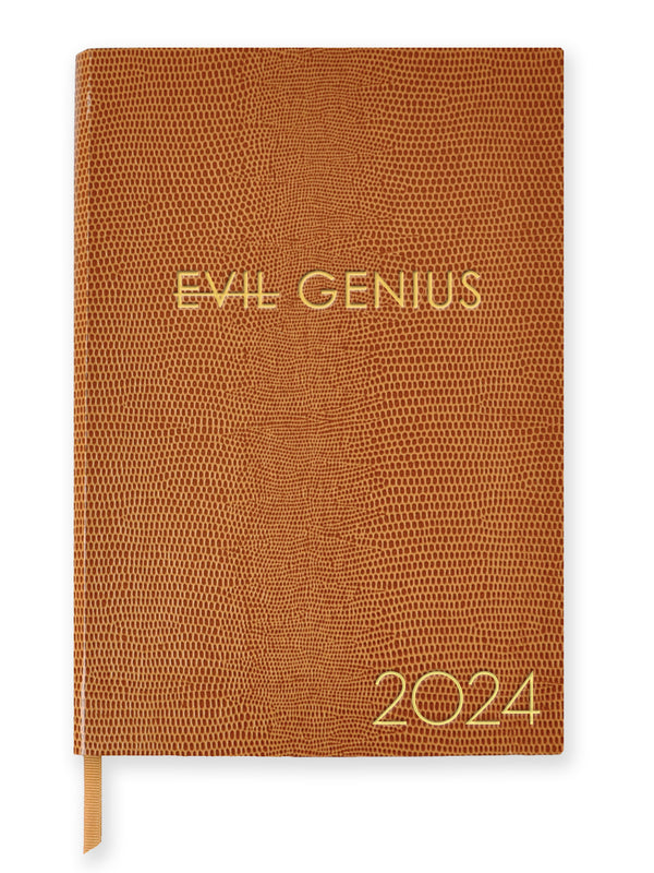 2024 DIARY - EVIL GENIUS