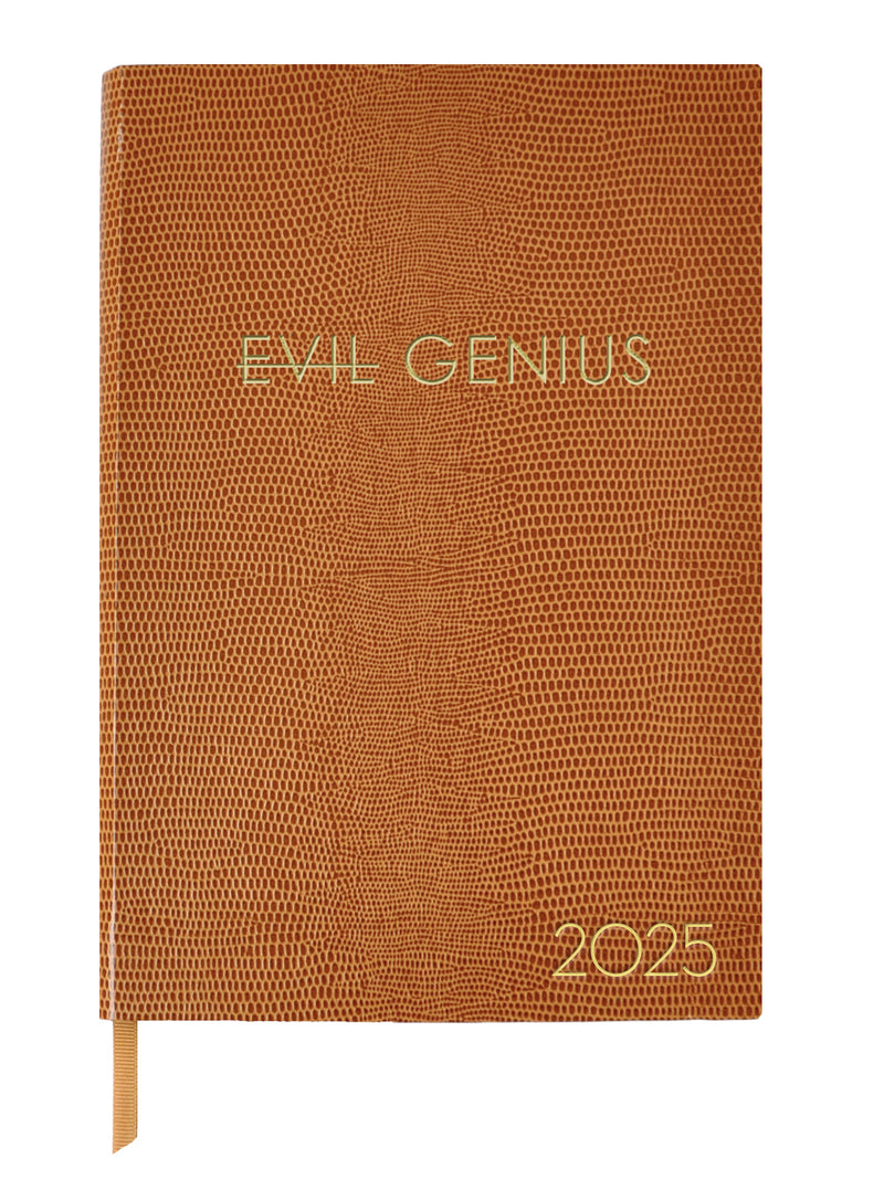 2025 DIARY - EVIL GENIUS