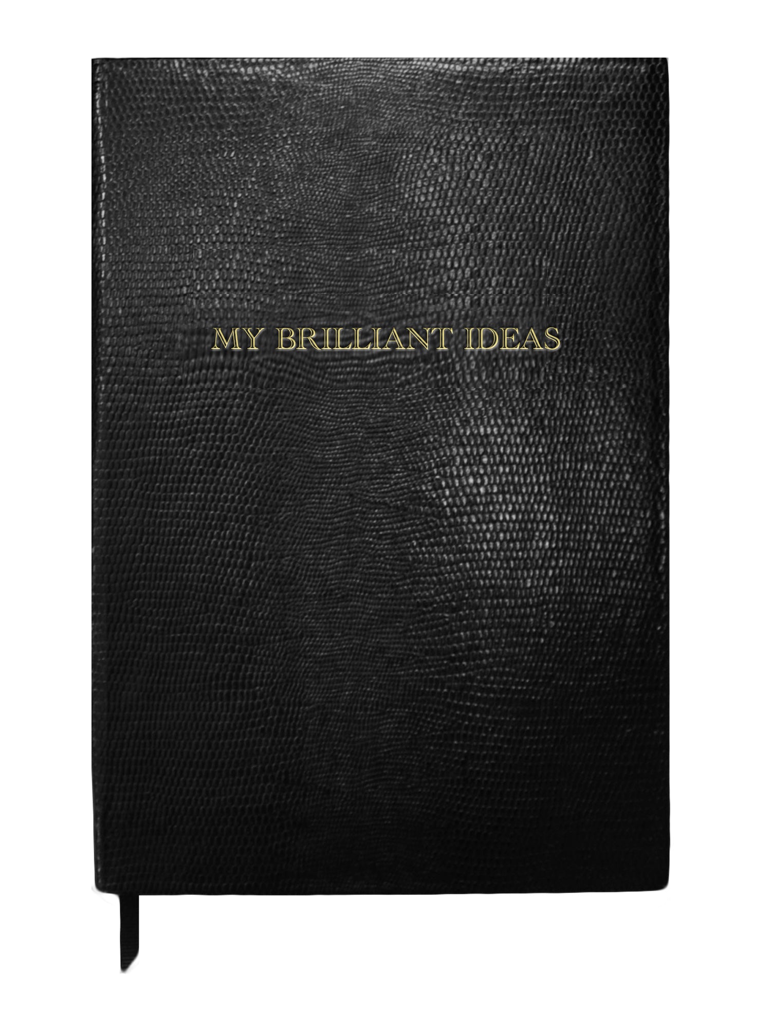 NOTEBOOK - MY BRILLIANT IDEAS – Sloane Stationery