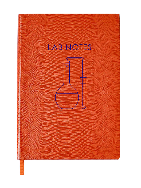 NOTEBOOK NO°61 - LAB NOTES