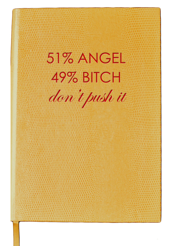 NOTEBOOK - 51% Angel, 49% B*tch. Don't Push it
