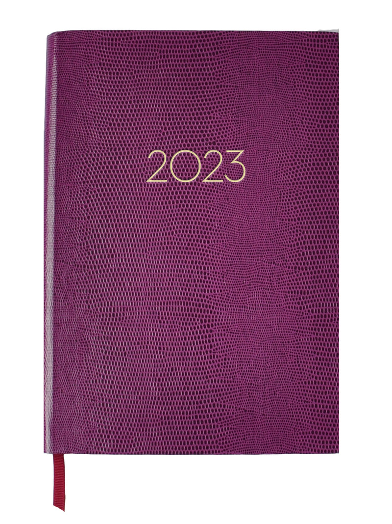 2023 DIARY - PLUM