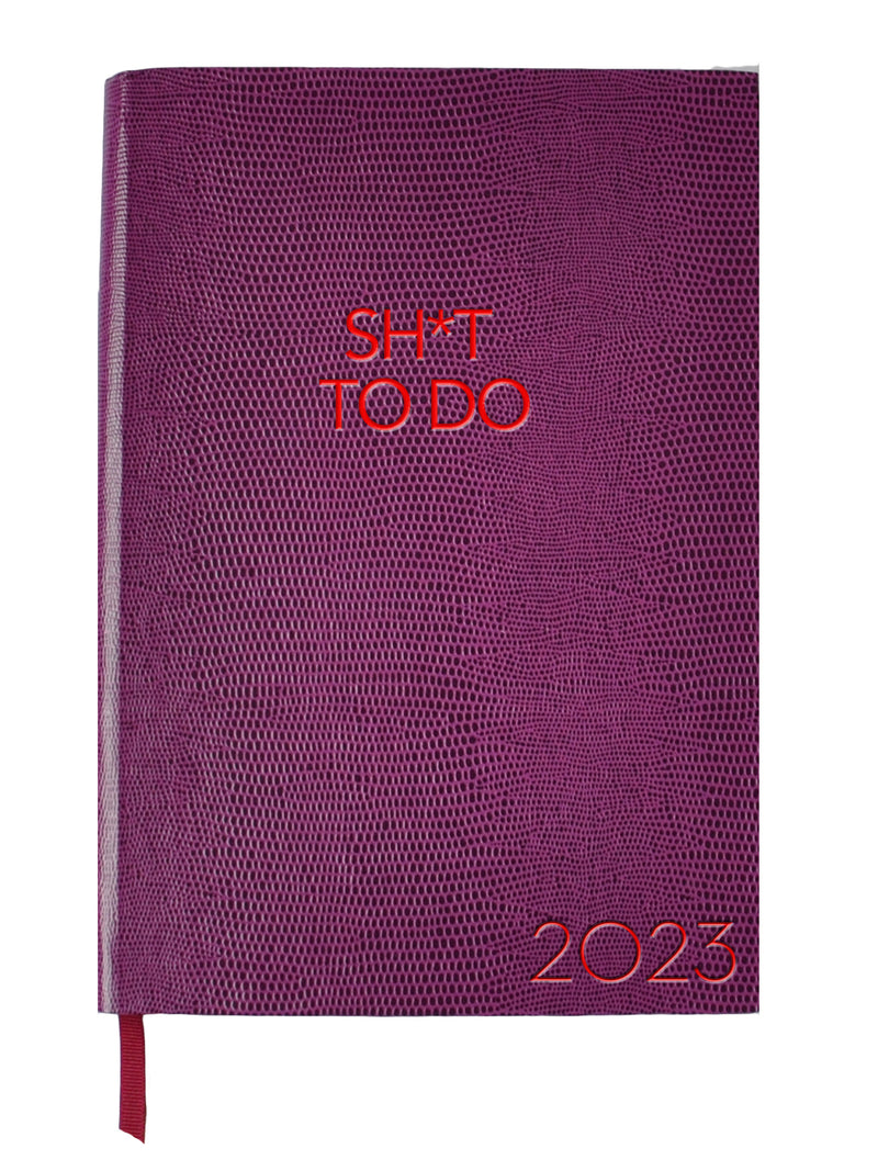2023 Diary - Sh*t To Do