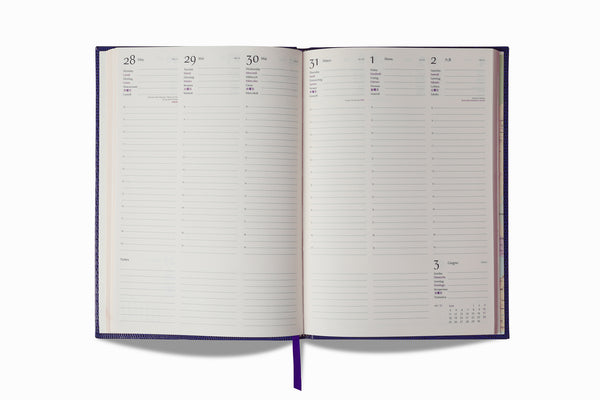 2023 DIARY - PLUM