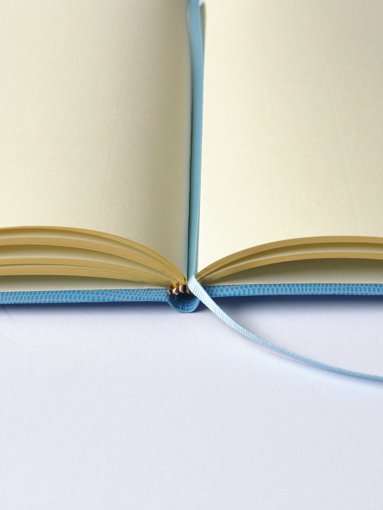 NOTEBOOK - FAKE NEWS – Sloane Stationery